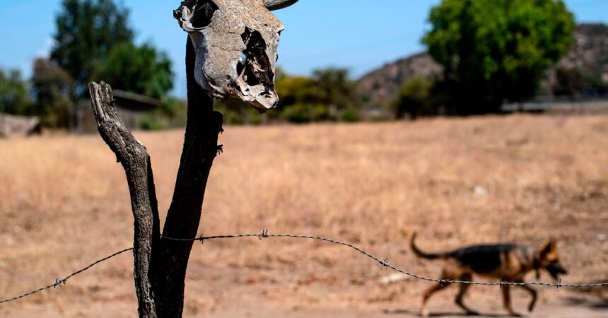 Billions Could Live in Extreme Heat Zones Within Decades, Study Finds