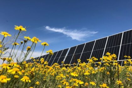 CIT Coordinates Financing for 7X Energy’s Taygete Energy Project
