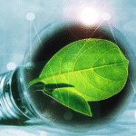 Why Small Businesses Should Choose Green Energy