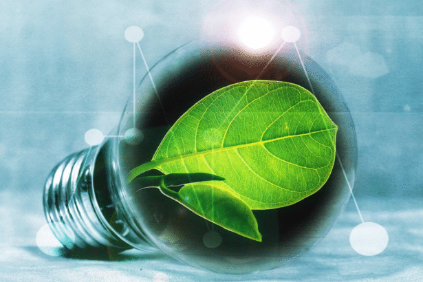 Why Small Businesses Should Choose Green Energy