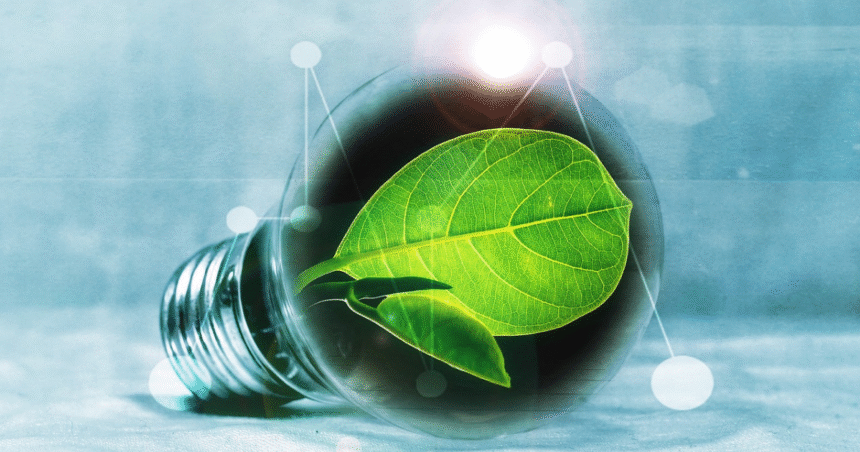 Why Small Businesses Should Choose Green Energy